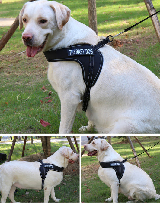 Arnés Transpirable para Perro con Tira Reflectante y Hebilla de Metal - Image 19