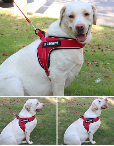 Arnés Transpirable para Perro con Tira Reflectante y Hebilla de Metal - Image 20