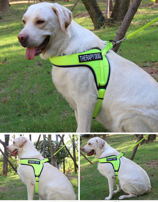 Arnés Transpirable para Perro con Tira Reflectante y Hebilla de Metal - Image 21