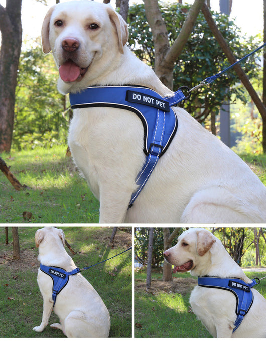 Arnés Transpirable para Perro con Tira Reflectante y Hebilla de Metal - Image 22