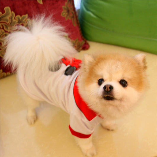 Suéter Navideño para Perros - Chaleco de Abrigo Festivo - Image 25