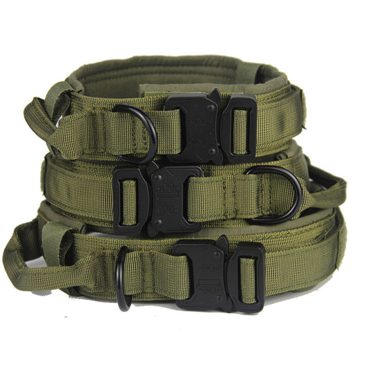 Collar para Perro - Image 16