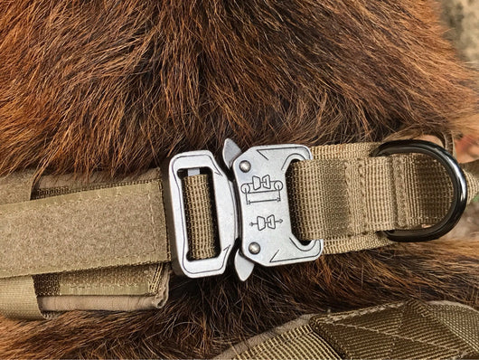 Collar para Perro - Image 17
