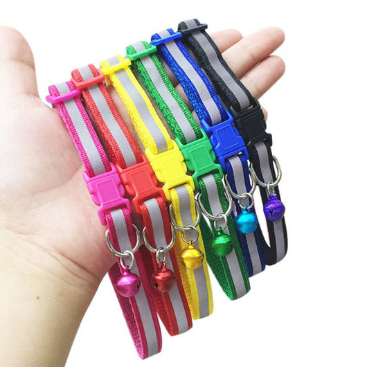 Collar Fluorescente para Perros - Image 16