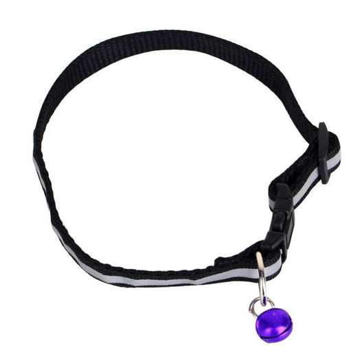 Collar Fluorescente para Perros - Image 17