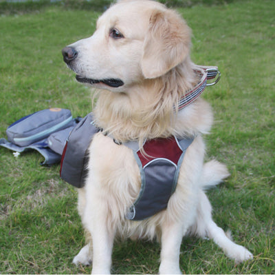 Mochila de Viaje Portátil con Bolsa Desmontable para Mascotas - Image 3