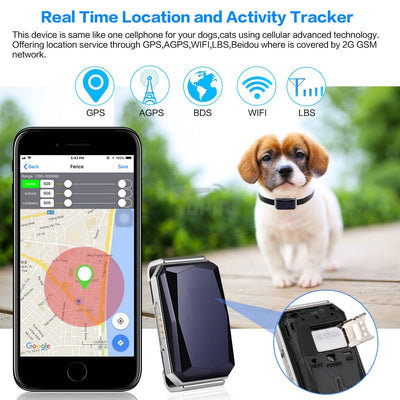 Localizador GPS para Mascotas - Image 8
