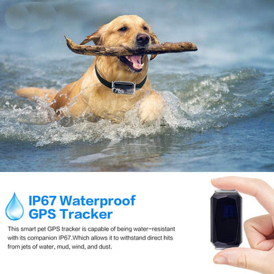 Localizador GPS para Mascotas - Image 9