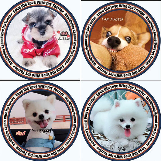 Colchoneta Ortopédica para Perros - Image 29