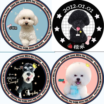 Colchoneta Ortopédica para Perros - Image 30