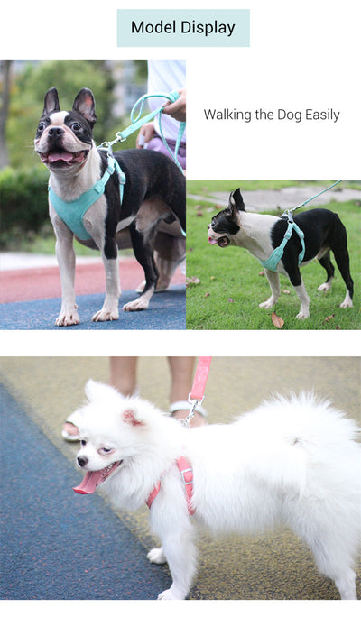 Arnés para Mascota con Correa - Image 18