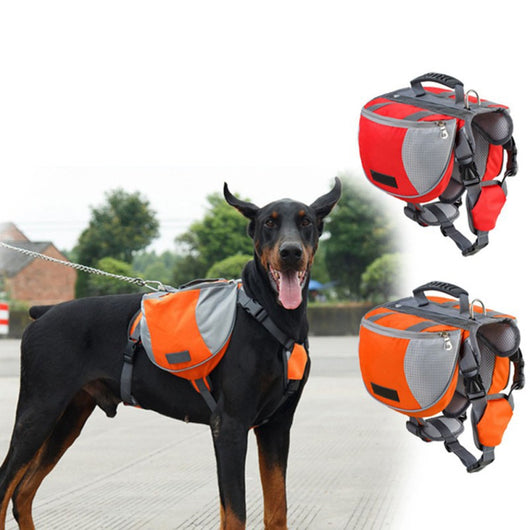 Mochila de Senderismo para Perros - Image 16