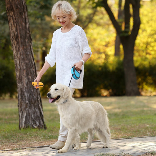 Repelente Ultrasónico para Perros y Adiestramiento - Image 9