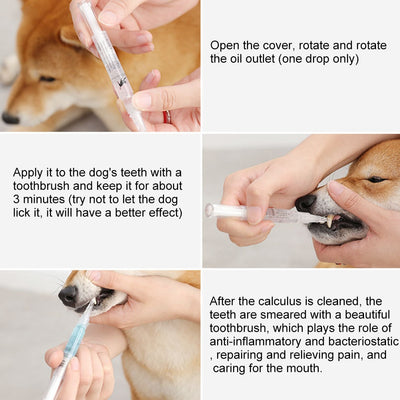Kit Profesional de Limpieza y Reparación Dental para Perros y Gatos - Image 10