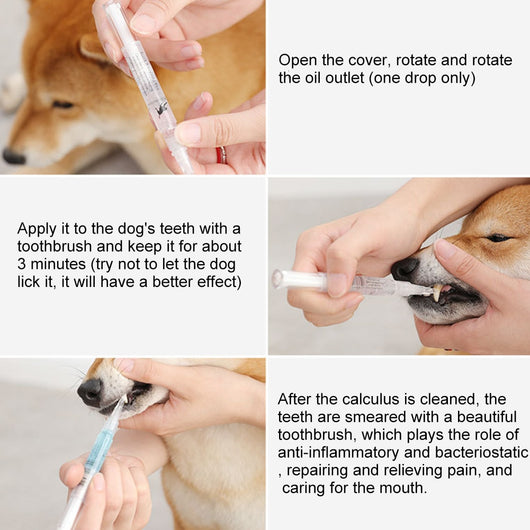 Kit Profesional de Limpieza y Reparación Dental para Perros y Gatos - Image 10