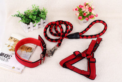 Cadena Reforzada de Tres Piezas para Perros - Image 4