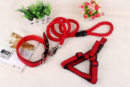 Cadena Reforzada de Tres Piezas para Perros - Image 5