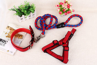 Cadena Reforzada de Tres Piezas para Perros - Image 6