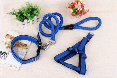 Cadena Reforzada de Tres Piezas para Perros - Image 7