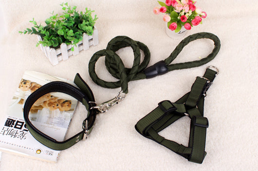 Cadena Reforzada de Tres Piezas para Perros - Image 8