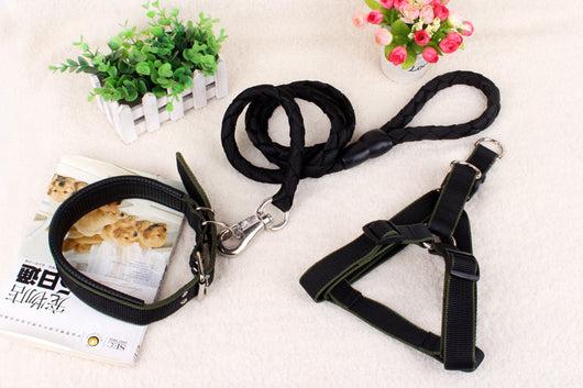 Cadena Reforzada de Tres Piezas para Perros - Image 9
