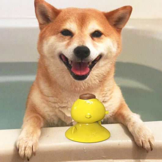 Juguete de Baño para Perros y Cachorros - Image 6