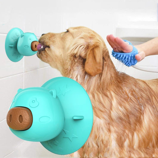 Juguete de Baño para Perros y Cachorros - Image 10