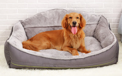 Sofá Cama para Perros Ortopédico - Image 12