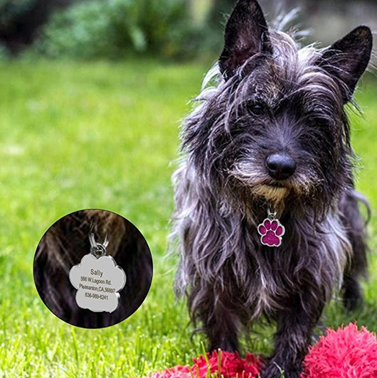 Huella de Perro - Identificador de Mascotas - Image 29