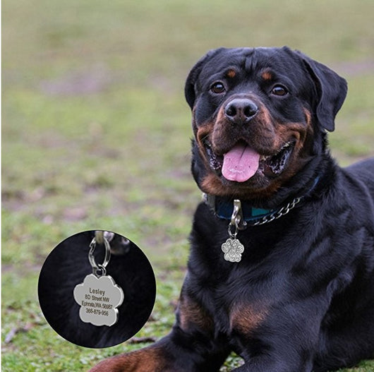 Huella de Perro - Identificador de Mascotas - Image 30