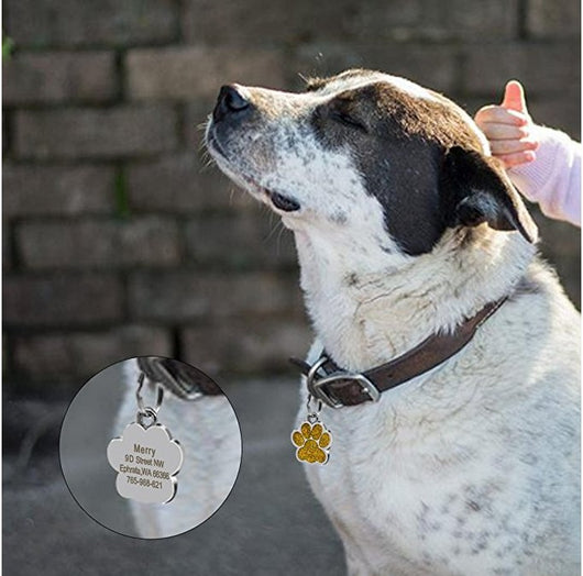 Huella de Perro - Identificador de Mascotas - Image 31