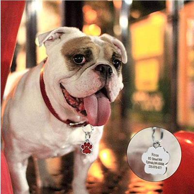 Huella de Perro - Identificador de Mascotas - Image 32