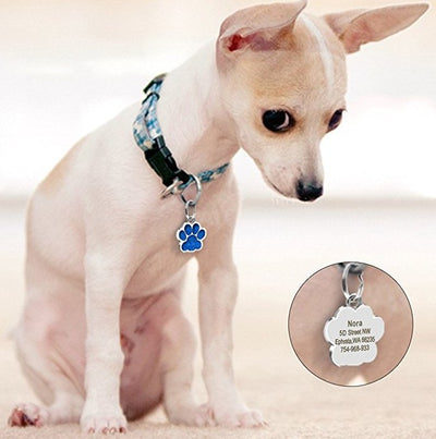 Huella de Perro - Identificador de Mascotas - Image 33