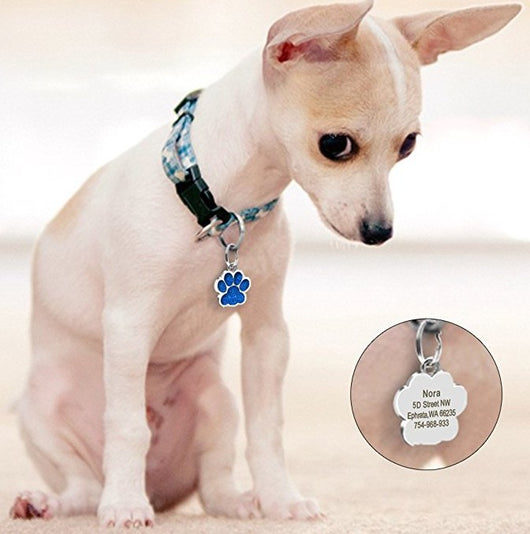 Huella de Perro - Identificador de Mascotas - Image 33