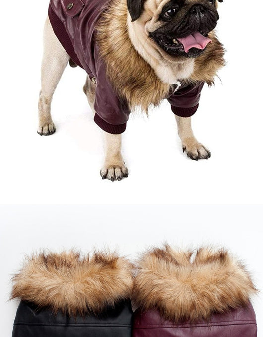 Abrigo de Cuero para Perros con Cuello de Pelaje - Image 4