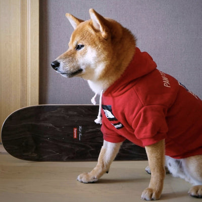 Abrigos Cálidos para Perros - Otoño e Invierno - Image 8