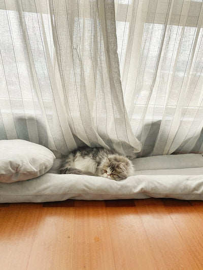 Casa Cilíndrica para Perros - Image 14