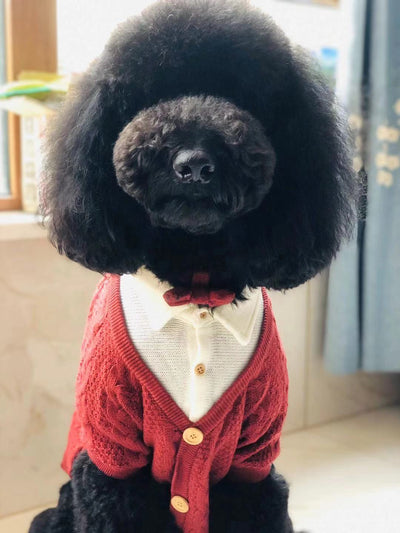 Cardigan Falso Doble para Perros Grandes - Image 5