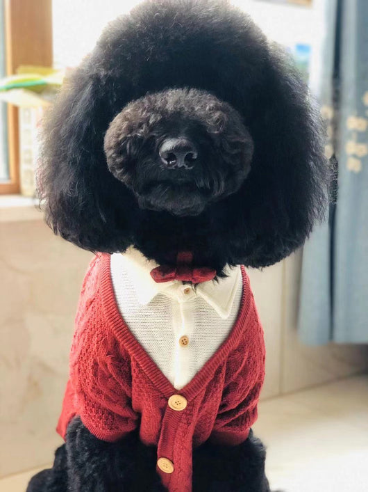 Cardigan Falso Doble para Perros Grandes - Image 5