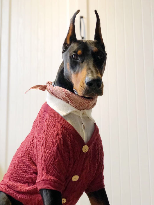 Cardigan Falso Doble para Perros Grandes - Image 6