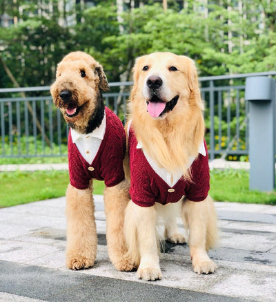 Cardigan Falso Doble para Perros Grandes - Image 9