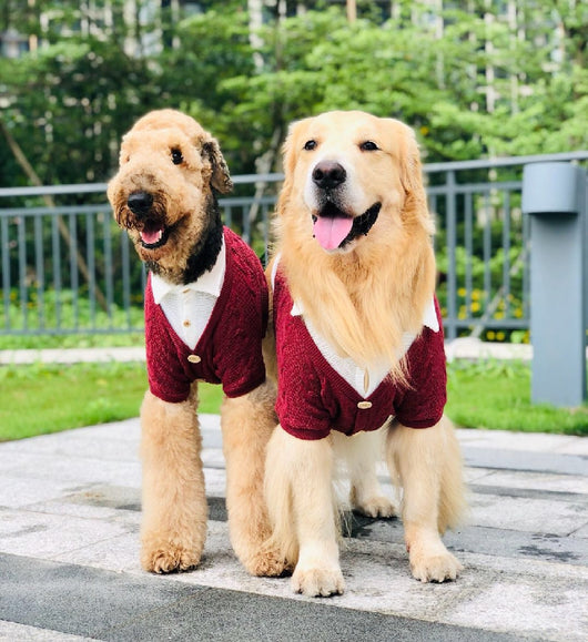 Cardigan Falso Doble para Perros Grandes - Image 9