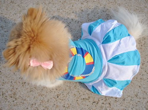 Vestido Fresco de Algodón para Perros - Colección Verano - Image 14