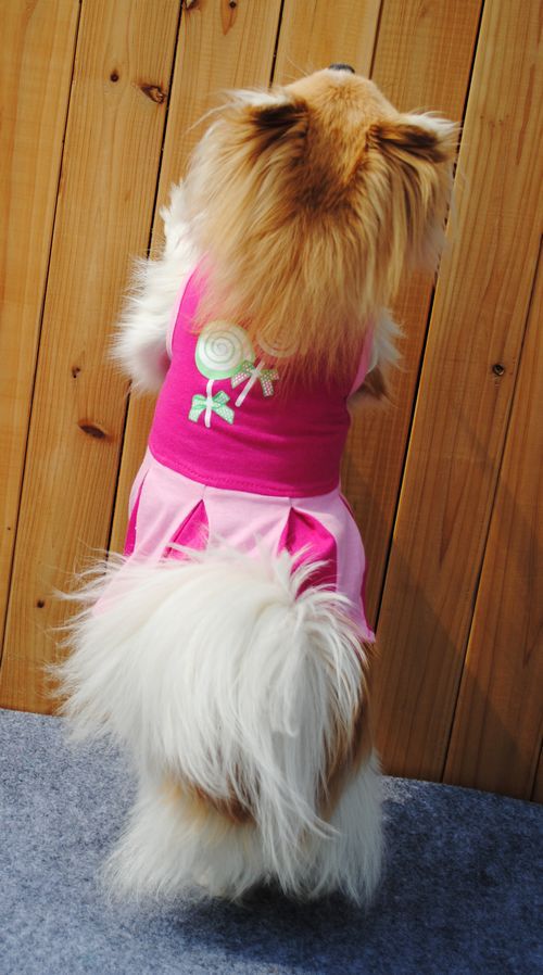 Vestido Fresco de Algodón para Perros - Colección Verano - Image 15