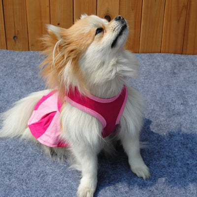 Vestido Fresco de Algodón para Perros - Colección Verano - Image 16
