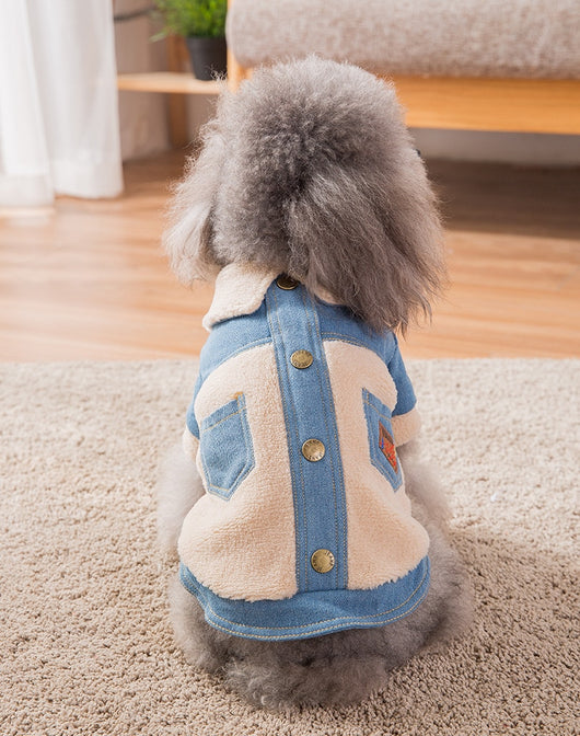 Ropa Térmica Gruesa para Mascotas - Image 7