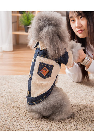 Ropa Térmica Gruesa para Mascotas - Image 9