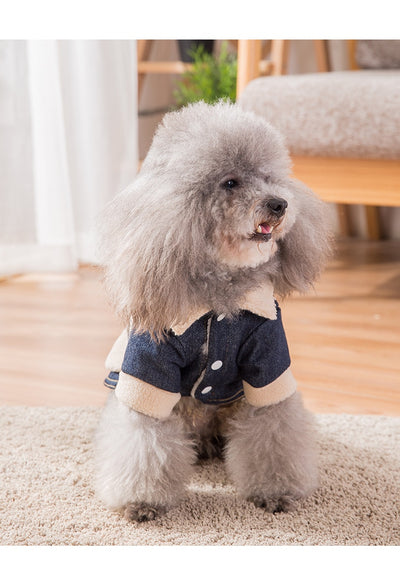 Ropa Térmica Gruesa para Mascotas - Image 10