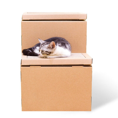 Casa Gato Doble con Escalera y Disco Rascador - Incluye Juguetes de Catnip - Image 9