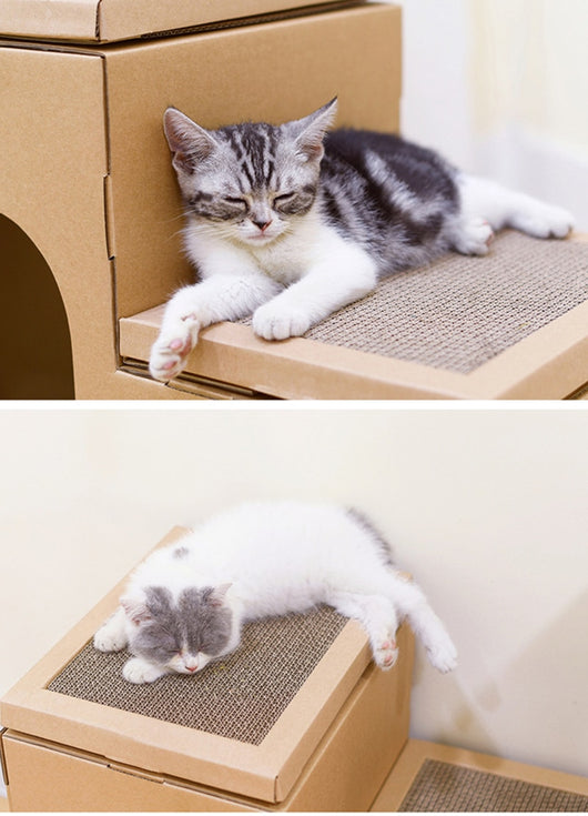 Casa Gato Doble con Escalera y Disco Rascador - Incluye Juguetes de Catnip - Image 16
